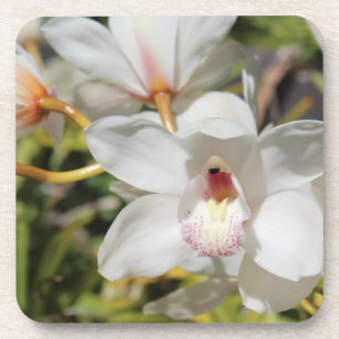 Orchideeën Drankjes Onderzetter