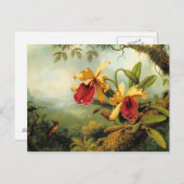 Orchideeën en Briefkaart van Hummingvogels (Voorkant / Achterkant)