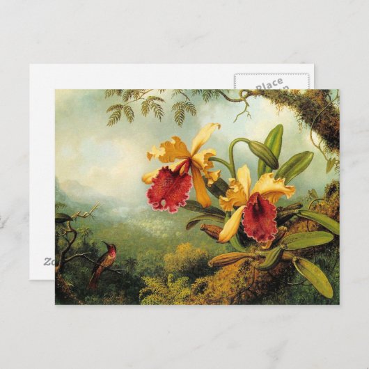 Orchideeën en Briefkaart van Hummingvogels (Voorkant / Achterkant)
