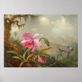 Orchideeën en kolibrie door Martin Johnson Heade P Poster (Voorkant)
