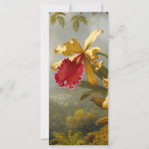 Orchideeën en Kolibrie Kaart