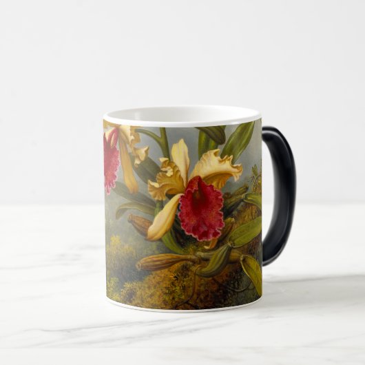 Orchideeën en kolibrie kop (Voorkant rechts)