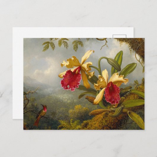 Orchideeën en kolibrie kop briefkaart (Voorkant / Achterkant)
