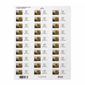 Orchideeën en kolibrie kop etiket (Full Sheet)