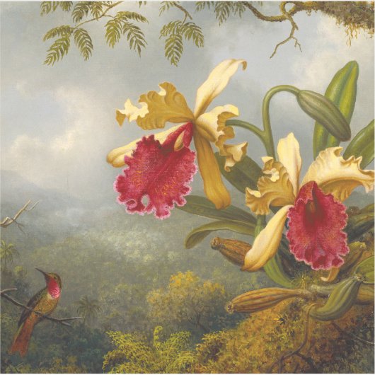 Orchideeën en kolibrie kop sticker (Voorkant)