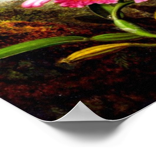 Orchideeën en mensvogels nabij een bergmeer poster (Hoek)