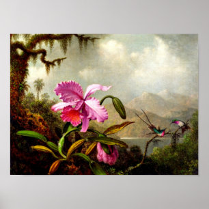 Orchideeën en mensvogels nabij een bergmeer poster