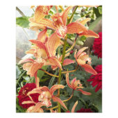 Orchideeën en Red Chrysanthemums Floral Foto Afdruk (Voorkant)