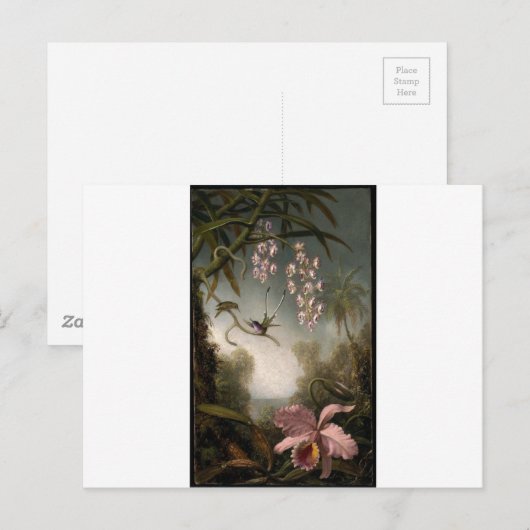 Orchideeën en Spray Orchids met Hummingbird van Ma Briefkaart (Voorkant / Achterkant)