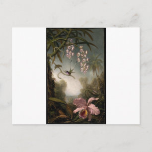 Orchideeën en Spray Orchids met Hummingbird van Ma Briefkaart
