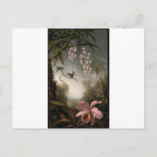 Orchideeën en Spray Orchids met Hummingbird van Ma Briefkaart (Voorkant)