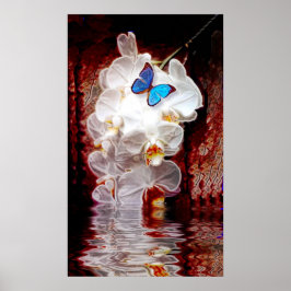 Orchideeën en vlinderdruk poster