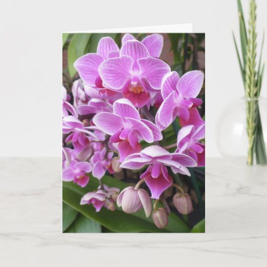 Orchideeën Feestdagen Kaart (Voorkant)