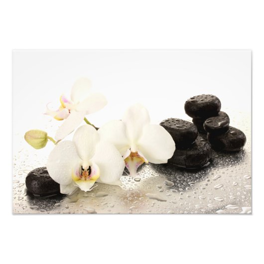 Orchideeën Foto Afdruk (Voorkant)