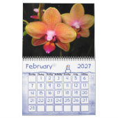 Orchideeën fotografie kalender (Feb 2027)