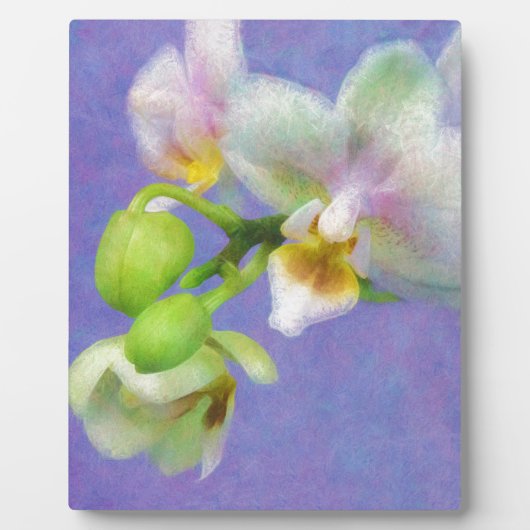 Orchideeën Fotoplaat (Voorkant)