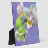 Orchideeën Fotoplaat (Zijkant)