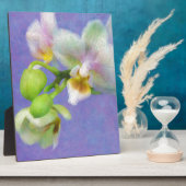 Orchideeën Fotoplaat (Zijkant)