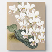 Orchideeën Fotoplaat (Voorkant)