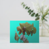 Orchideeën: Geel en wit Briefkaart (Staand voorkant)