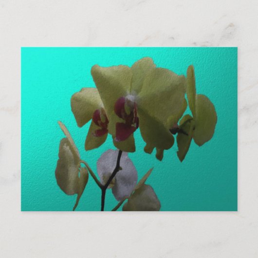 Orchideeën: Geel en wit Briefkaart (Voorkant)