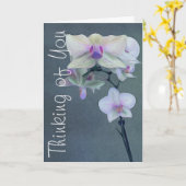 Orchideeën in de schaduw van Paars denken van jou, Kaart (Gele Bloem)