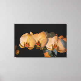 orchideeën in de zonsondergang canvas print
