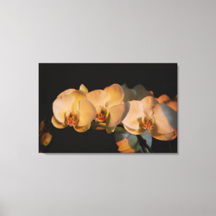 orchideeën in de zonsondergang canvas print