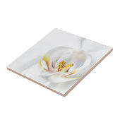 Orchideeën in het wit tegeltje (Zijkant)