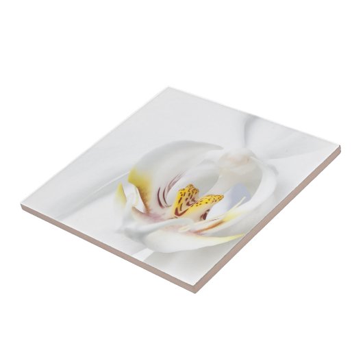 Orchideeën in het wit tegeltje (Zijkant)