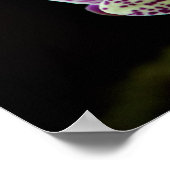 Orchideeën in Paars Poster (Hoek)