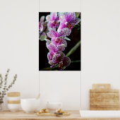 Orchideeën in Paars Poster (Keuken)