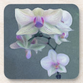 Orchideeën in Paarse tinten Onderzetter (Voorkant)