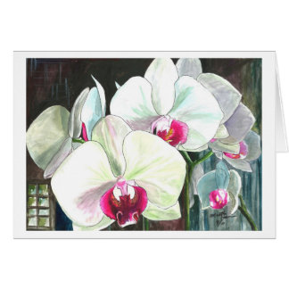 Orchideeën in volle bloei