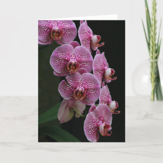 Orchideeën Kaart