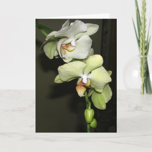 Orchideeën Kaart (Voorkant)