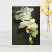 Orchideeën Kaart (Gele Bloem)