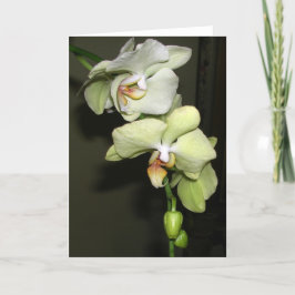 Orchideeën Kaart