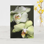 Orchideeën Kaart (Gele Bloem)