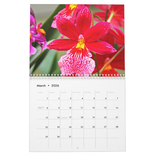 Orchideeën Kalender (Mar 2026)