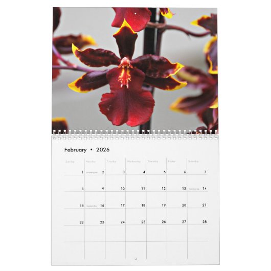 Orchideeën Kalender (Feb 2026)