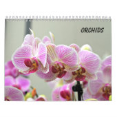 Orchideeën Kalender (Hoes)