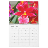 Orchideeën Kalender (Mar 2027)