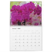 Orchideeën Kalender (Jan 2027)
