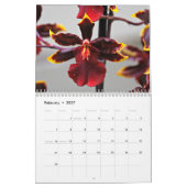 Orchideeën Kalender (Feb 2027)