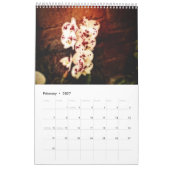 Orchideeën Kalender (Feb 2027)