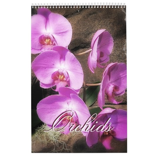 Orchideeën Kalender (Hoes)