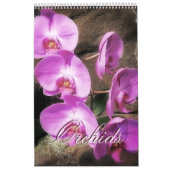 Orchideeën Kalender (Hoes)