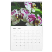Orchideeën Kalender (Mar 2026)