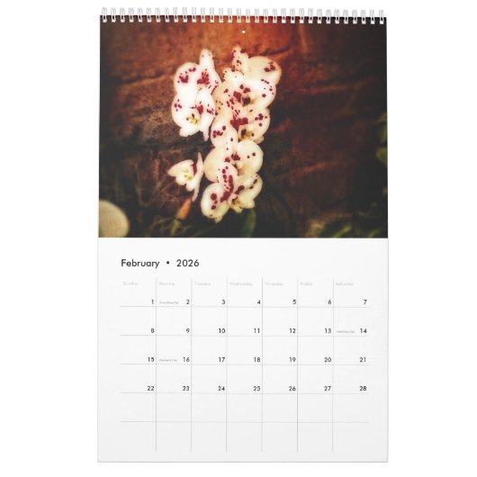 Orchideeën Kalender (Feb 2026)
